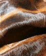 Chocolate_cowhide_close-up_medium_cropped