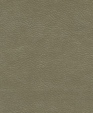 212006_medium_cropped