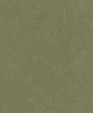 212022_medium_cropped