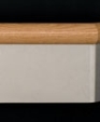 Hs50_medium_cropped