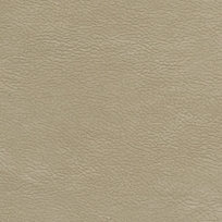 PUMICE 212009