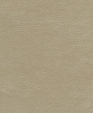 212009_medium_cropped