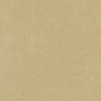 SAND 212008