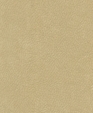 212008_medium_cropped