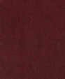 212015_medium_cropped