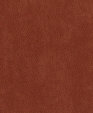 212013_medium_cropped