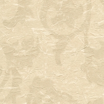 LIGHT CHAMOIS 5221-32