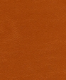 212012_medium_cropped