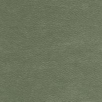 MOSS 212023