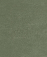 212023_medium_cropped