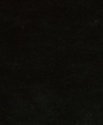 212003_medium_cropped