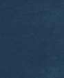 212020_medium_cropped