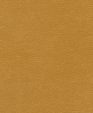 212011_medium_cropped
