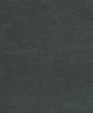 212002_medium_cropped