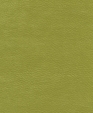 212024_medium_cropped