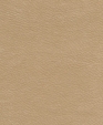 212007_medium_cropped