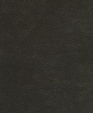 212004_medium_cropped