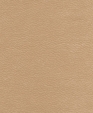 212010_medium_cropped