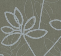 Blossom