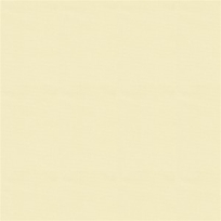 Vinyl Liner
