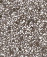 7250-l_medium_cropped