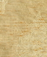Standard1_medium_cropped