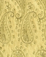 Standard1_medium_cropped