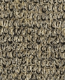 Standard1_medium_cropped
