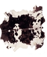 C-008ui-a01-b_medium_cropped
