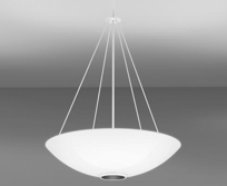 Fleur Pendant with Downlight