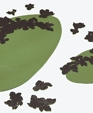 6_jpg1_medium_cropped