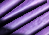V I T A