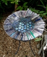 _starling_splash__bird_bath_medium_cropped