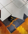 5_jpg1_medium_cropped