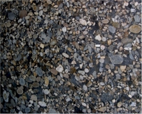 Black Marinaci