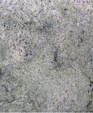 450s_medium_cropped
