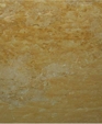 516s_medium_cropped