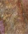 400s_medium_cropped