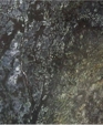 654s_medium_cropped