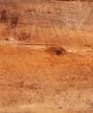 2_jpg1_medium_cropped