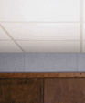 5_jpg1_medium_cropped