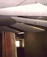 7_jpg1_medium_cropped