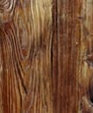 Mushroomboard_medium_cropped