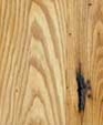 Antique_chestnut_medium_cropped