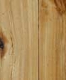 Antique_elm_medium_cropped
