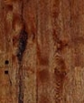 Medium_brownstain_th_medium_cropped