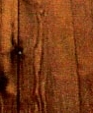Hemlock_th_medium_cropped