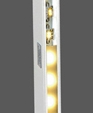 Striastrip_medium_cropped