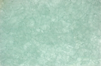 Bio Glass