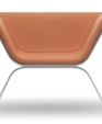 Yabaco_front_medium_cropped